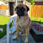 Angel Olson - Facebook
