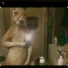 Angel - @angeloswaldo - TikTok