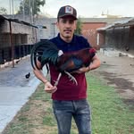 Angel Oswaldo Alcazar Alcazar Ibarra - @angeloswaldo25 - Instagram