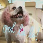 Angel Park - @_angel.park_ - Instagram
