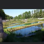 Matzes Fisch- und Angelpark - @matzes_fisch_und_angelpark - Instagram