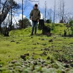 Angel Pedroza - @angelpedroza80 - Instagram