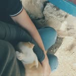 Angel Pedroza - @angel_pedrozaz - Instagram
