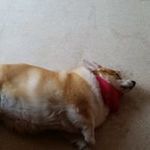 Angel Pelaez - @pelaez1398 - Instagram