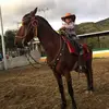 pelaezangel1 - @pelaezangel1 - TikTok