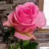 MsParsons - @angel.persons - TikTok