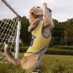 Angelposas - @soccer_puppy_ - Instagram