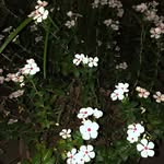 ANGEL - @angel_____potts__0foy - Instagram