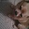 Angel Potts - @angelpotts4 - TikTok