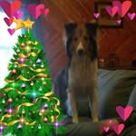 Angel Potts - @angel.potts.52 - Instagram