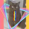 trybuni ludowi😇 - @angel._.power - TikTok