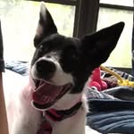 Angel - @angel.prater - Instagram