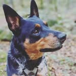 Angela Prater - @ayprater - Instagram