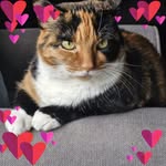 Angela Priest - @angelapriest1967 - Instagram