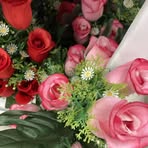 Angela Procopio - Facebook