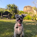 ∀⅁∩Ԁ - @_angel.puga_ - Instagram