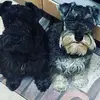 Angel - @angelpuigplanas - TikTok