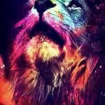 Miguel angel pulla granados - @miguelangelpullagranados1326 - Instagram