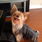 Angel Pumarol - @angelpumarol - Instagram