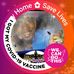 Angela Putman - Facebook