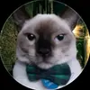 Angel RA - @angel_ragg - TikTok