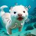 Caitlin Angela Rabang - Facebook