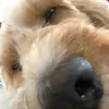 Angel Rae🤍 - @.angelrrae - TikTok