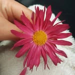 yagmel - @angel__rain__ - Instagram
