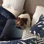 Angela Raines - @angela_raines - Instagram