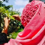 Angel Ramsha - @angelramsha33 - Instagram