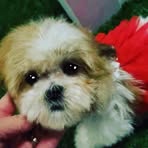 Angel Ramsdell - Facebook