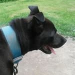Angel Randall - @angel.bobb.9 - Instagram