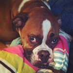 Angel randall - @manseeweel - Instagram