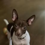 Angel Rogers - @angel_rogers_ - Instagram