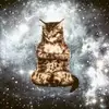 Angel - @rubio.angel - TikTok