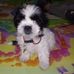 Angel Sanango - Facebook