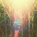 Angel Sanders ;* - @_angelsanders - Instagram