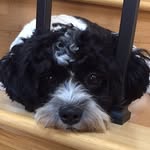 Angel Sandro - @angel.sandro - Instagram
