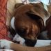 Angel Schneider - Facebook