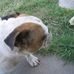 Angel Scribner - Facebook