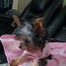 Angela Scribner - Facebook