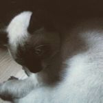 Angel - @angel_sedillo123 - Instagram