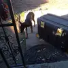 angel sedillo - @angel.sedillo32 - TikTok
