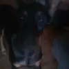 Angel Sedillo - @angel.sedillo4 - TikTok