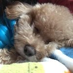 Angel Shih - @shih__angel - Instagram