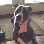 Angela Shumaker - @angela_shumaker - Instagram