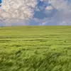 Angel Silverio - @angel.silverio08 - TikTok