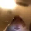 Angel Simmons - @angelsimmons58 - TikTok