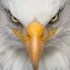 angel Solis - @angel.solis3159 - TikTok