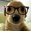 ᴀɴɢᴇʟ🤟 - @angel.sousa94 - TikTok